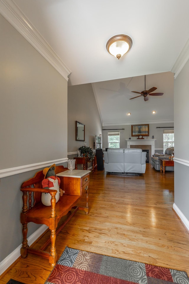 212 Cox Ln, Soddy Daisy, TN 37379 - living room featuring ceiling fan, crown molding, healthy amount of natural light, a fireplace, and light wood-style flooring