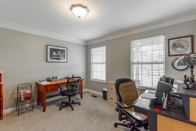 212 Cox Ln, Soddy Daisy, TN 37379 - office area featuring crown molding and carpet floors