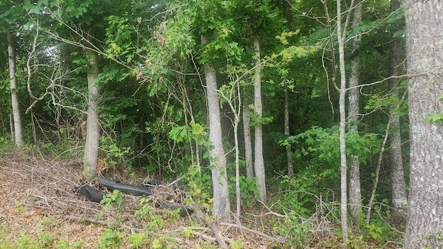 2739 Sr 399, Palmer, TN 37365 - photo 17