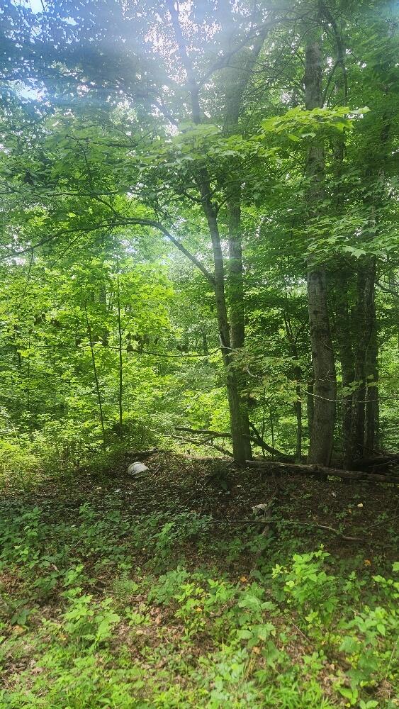 2739 Sr 399, Palmer, TN 37365 - photo 19