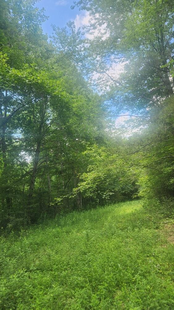 2739 Sr 399, Palmer, TN 37365 - photo 20