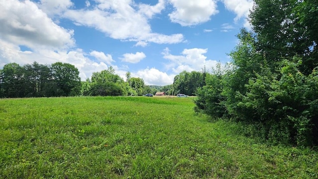 2739 Sr 399, Palmer, TN 37365 - photo 1