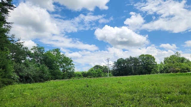 2739 Sr 399, Palmer, TN 37365 - photo 4