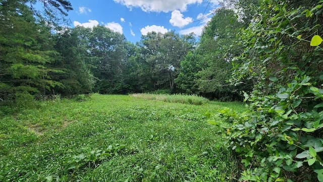 2739 Sr 399, Palmer, TN 37365 - photo 15