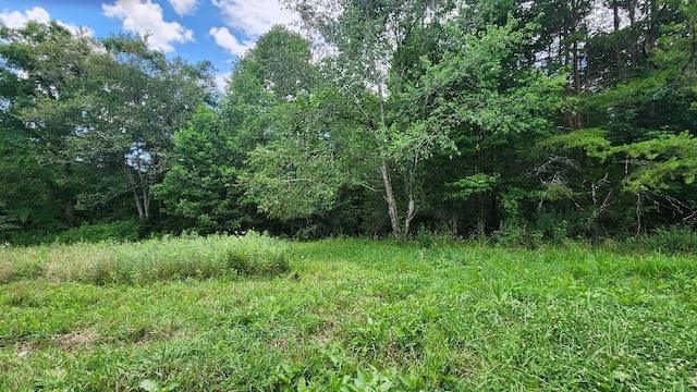 2739 Sr 399, Palmer, TN 37365 - photo 23