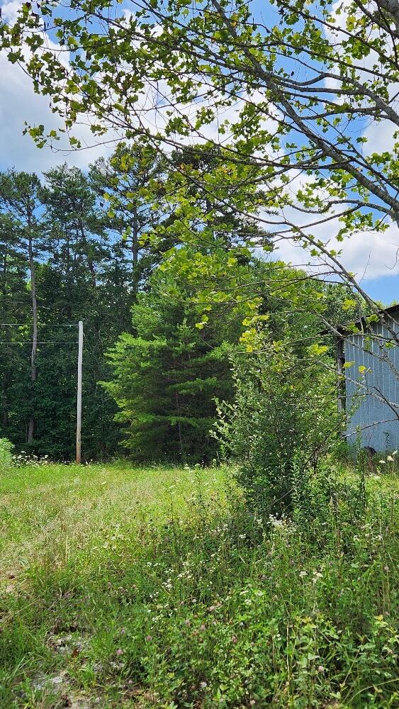 2739 Sr 399, Palmer, TN 37365 - photo 14