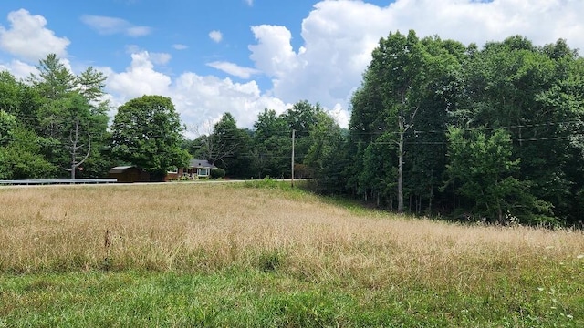 2739 Sr 399, Palmer, TN 37365 - photo 7