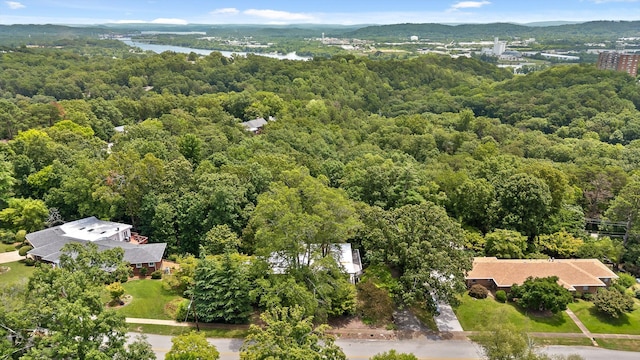 2554 Crestwood Dr, Chattanooga, TN 37415 - bird's eye view of a heavily wooded area and a nearby body of water