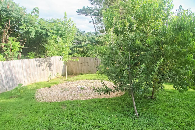 2730 Windthrush Dr, Chattanooga, TN 37421 - view of yard