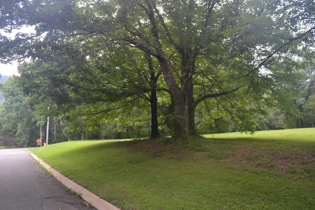 16 Old State Highway 28, Pikeville, TN 37367