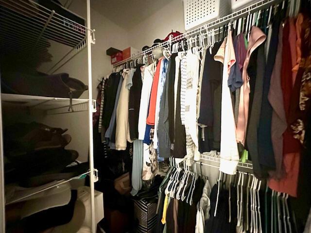 8041 Hamilton Mill Dr, Chattanooga, TN 37421 - view of spacious closet