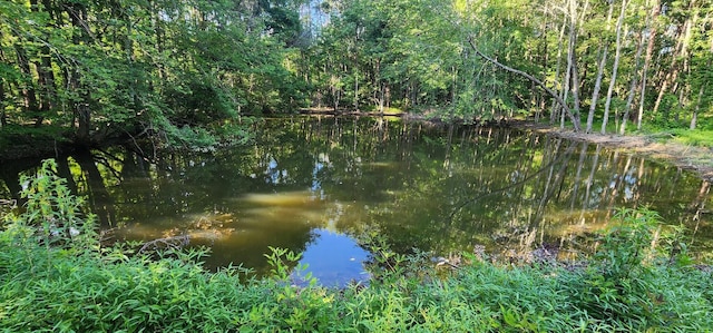 3156 Flat Branch Rd, Tracy City, TN 37387 - photo 34