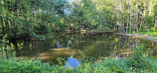 3156 Flat Branch Rd, Tracy City, TN 37387 - photo 35