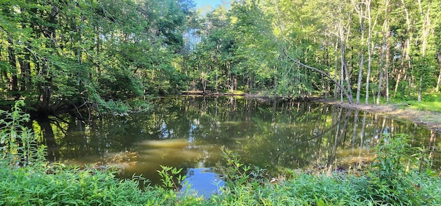 3156 Flat Branch Rd, Tracy City, TN 37387 - photo 36