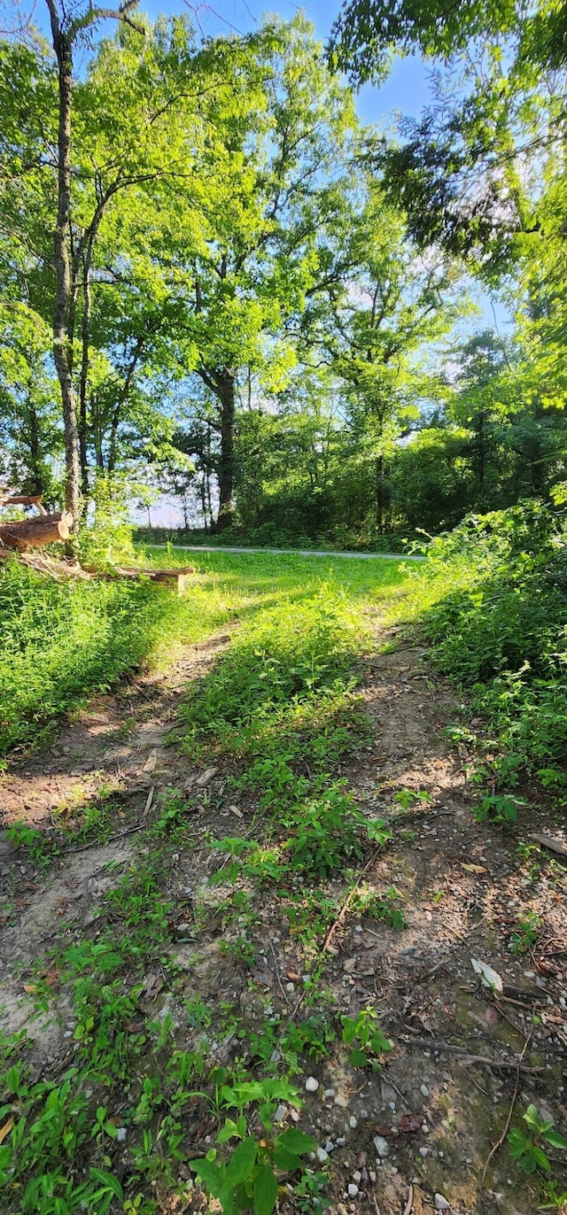 3156 Flat Branch Rd, Tracy City, TN 37387 - photo 45