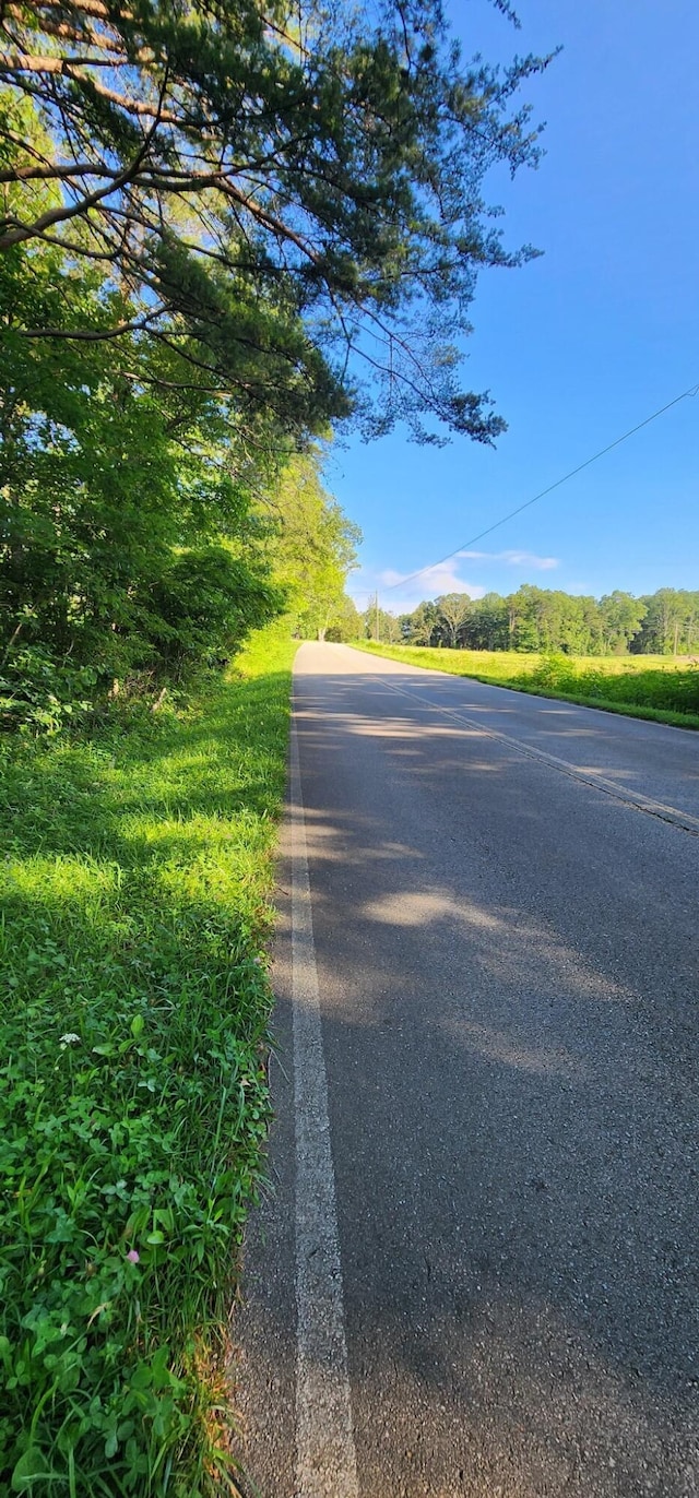 3156 Flat Branch Rd, Tracy City, TN 37387 - photo 46
