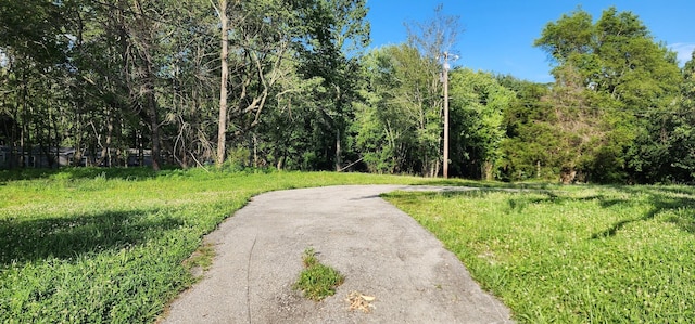 3156 Flat Branch Rd, Tracy City, TN 37387 - photo 49