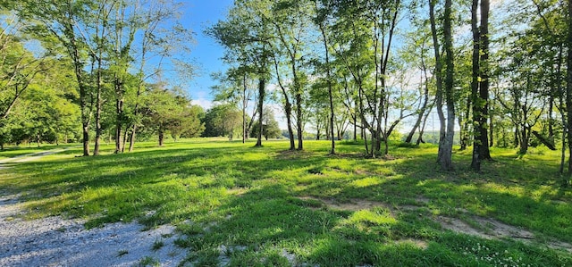 3156 Flat Branch Rd, Tracy City, TN 37387 - photo 53
