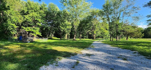 3156 Flat Branch Rd, Tracy City, TN 37387 - photo 54