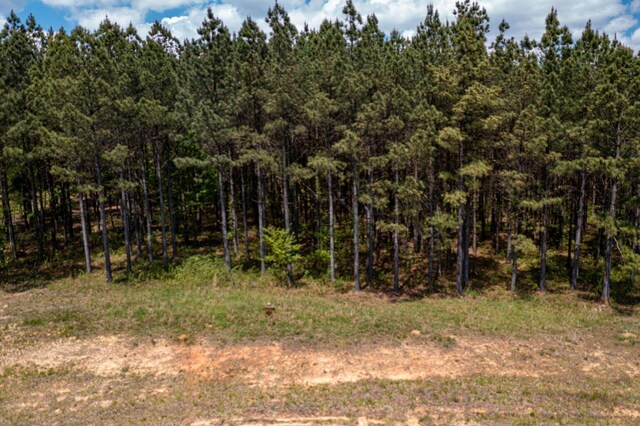 0 River Bluffs Dr Unit Rb194, Jasper, TN 37347 - photo 22