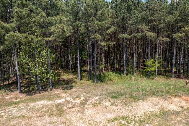 0 River Bluffs Dr Unit Rb194, Jasper, TN 37347 - photo 23