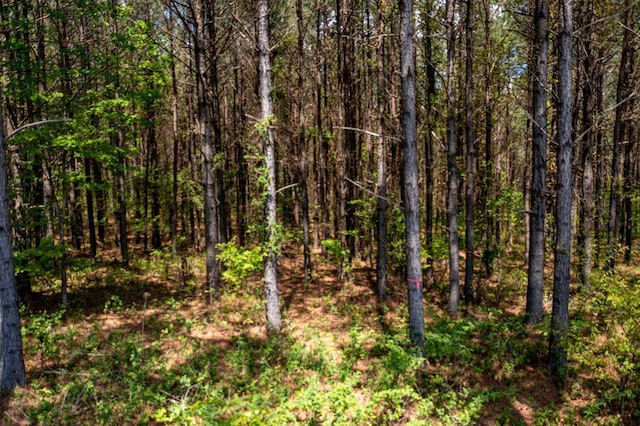 0 River Bluffs Dr Unit Rb194, Jasper, TN 37347 - photo 24