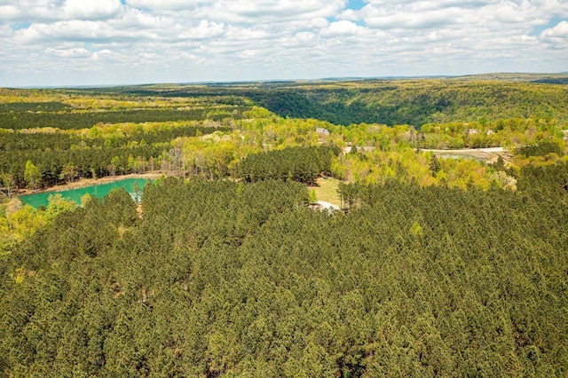 0 River Bluffs Dr Unit Rb194, Jasper, TN 37347 - photo 27