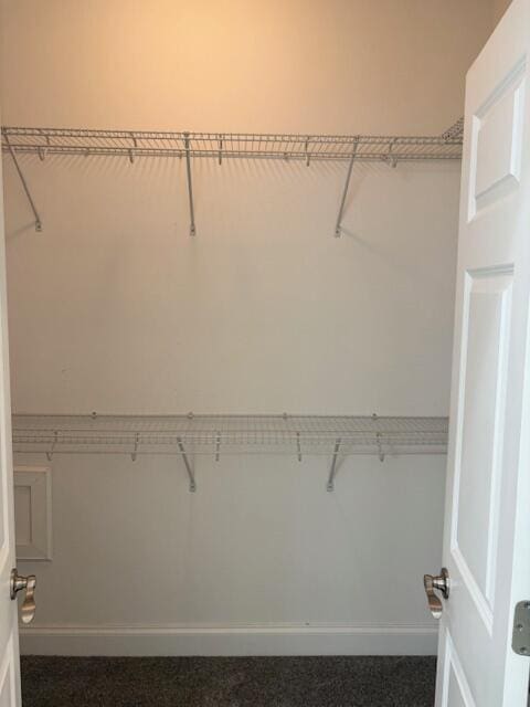 731 Callaway Ct, Chattanooga, TN 37421 - view of walk in closet