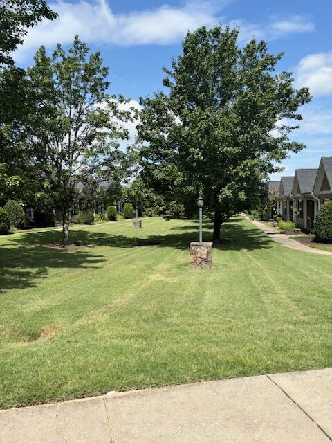 731 Callaway Ct, Chattanooga, TN 37421 - view of green lawn