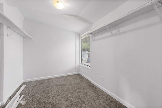 6863 Standifer Gap Rd, Chattanooga, TN 37421 - walk in closet with carpet flooring and lofted ceiling