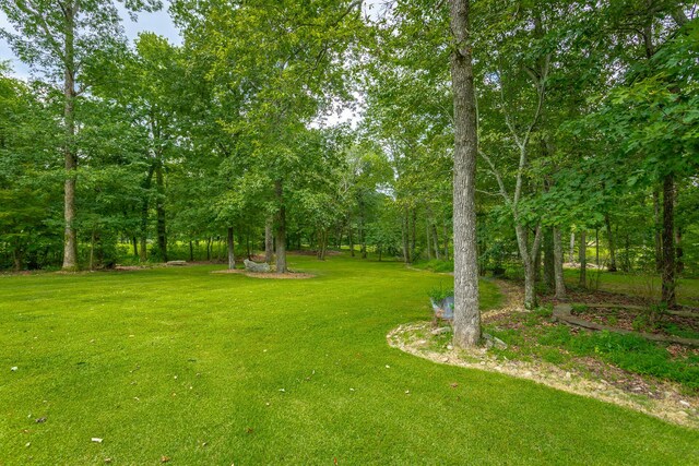 9009 Brow Lake Rd, Soddy Daisy, TN 37379 - photo 69