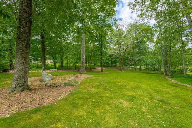 9009 Brow Lake Rd, Soddy Daisy, TN 37379 - photo 71