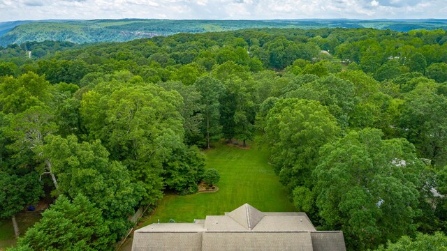 9009 Brow Lake Rd, Soddy Daisy, TN 37379 - photo 73