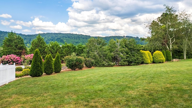 4300 Linen Crest Way, Ooltewah, TN 37363 - photo 42