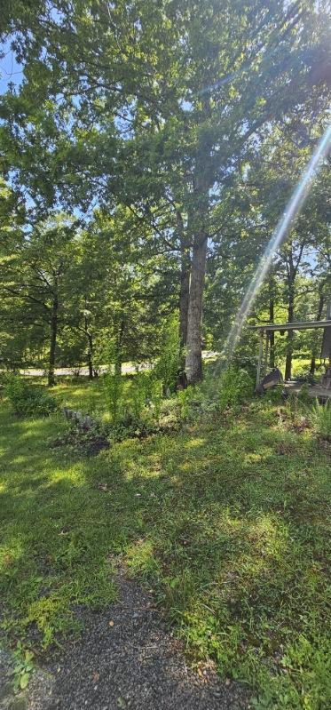 1007 Fawn Cir, Dunlap, TN 37327 - photo 3