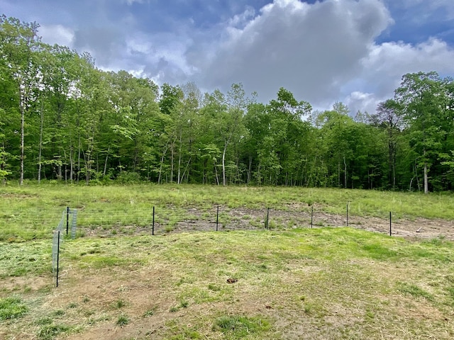 407 Ray Gadd Rd, Graysville, TN 37338 - photo 15