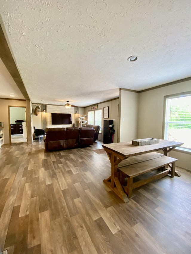 407 Ray Gadd Rd, Graysville, TN 37338 - photo 17