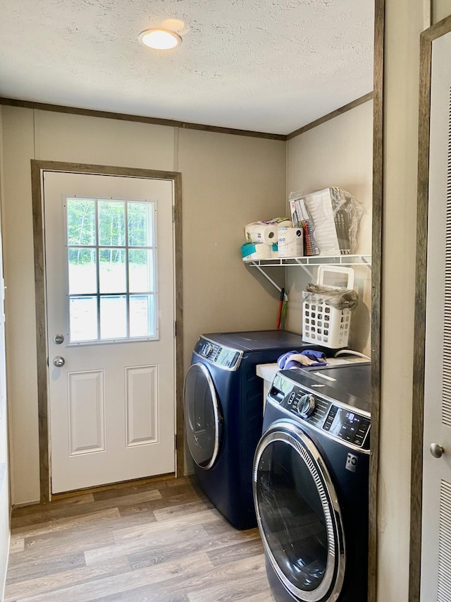 407 Ray Gadd Rd, Graysville, TN 37338 - photo 19