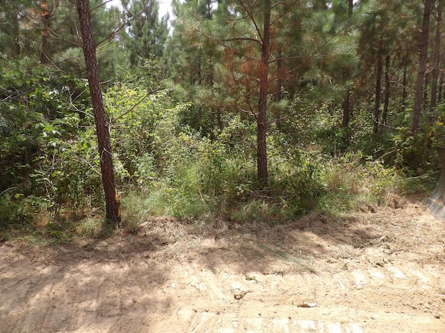 LOT4 Summer City Rd, Evensville, TN 37332 - photo 2