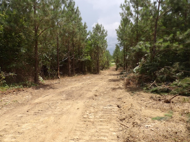 LOT4 Summer City Rd, Evensville, TN 37332 - photo 3