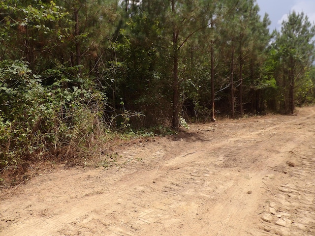 LOT4 Summer City Rd, Evensville, TN 37332 - photo 4