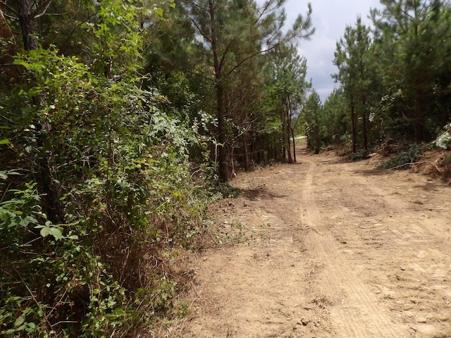 LOT4 Summer City Rd, Evensville, TN 37332 - photo 5