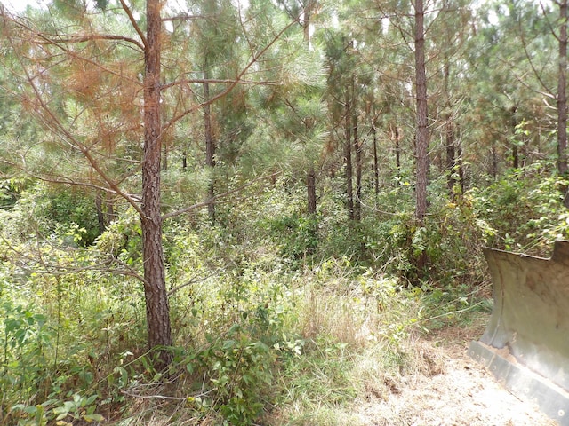 LOT4 Summer City Rd, Evensville, TN 37332 - photo 6