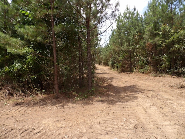 LOT4 Summer City Rd, Evensville, TN 37332 - photo 9