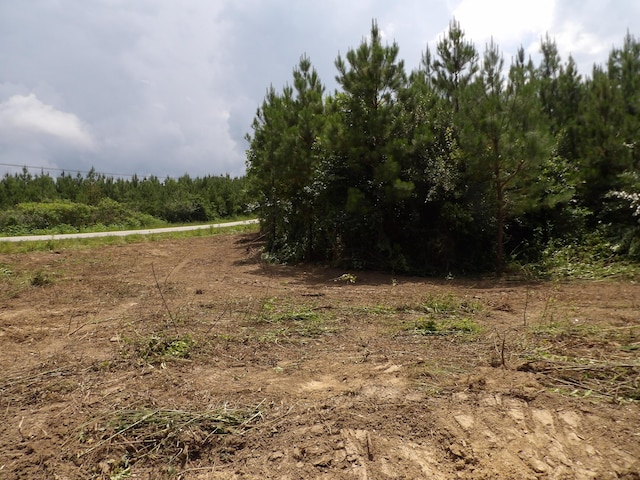 LOT4 Summer City Rd, Evensville, TN 37332 - photo 10