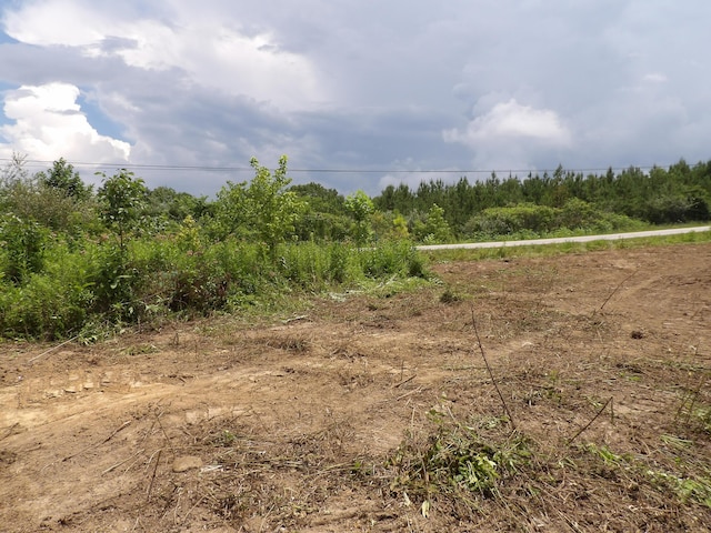 LOT4 Summer City Rd, Evensville, TN 37332 - photo 11