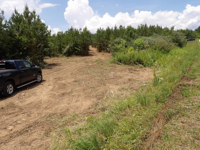 LOT4 Summer City Rd, Evensville, TN 37332 - photo 1