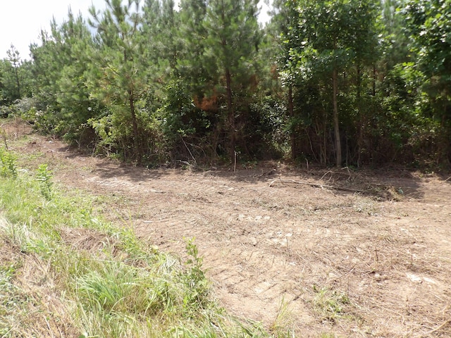 LOT4 Summer City Rd, Evensville, TN 37332 - photo 15