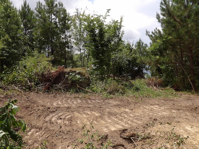 LOT4 Summer City Rd, Evensville, TN 37332 - photo 16