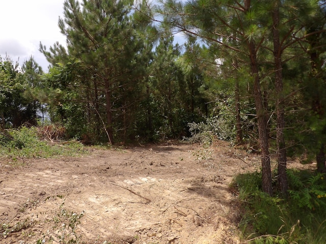 LOT4 Summer City Rd, Evensville, TN 37332 - photo 17